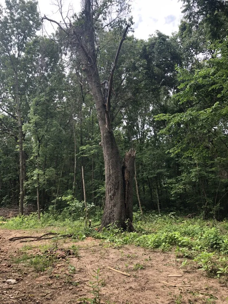 Reliable residential landscaping in Carthage, MO - Faith Tree & Outdoor Services