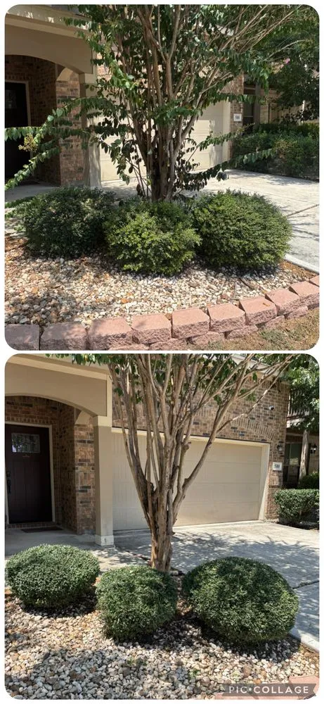 Top-rated yard maintenance experts serving San Antonio, TX - Faithful Blades