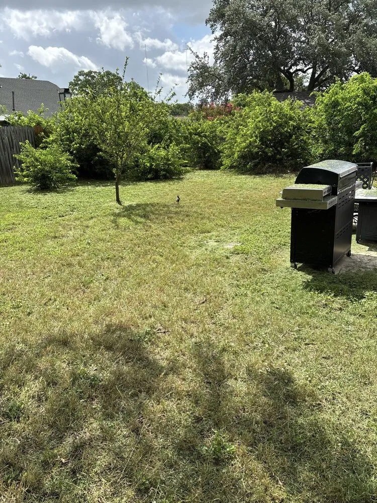 Trusted lawn mowing service in San Antonio, TX by Faithful Blades