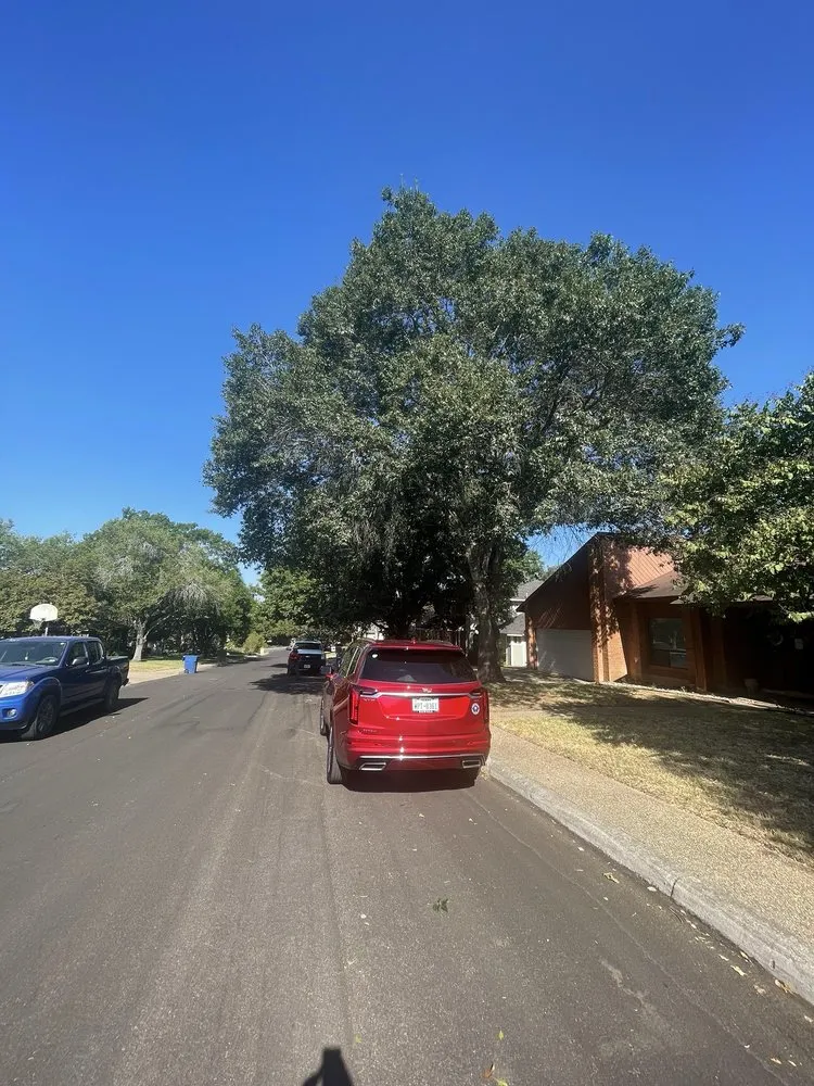 Expert lawn mowing service with custom design in San Antonio, TX by Faithful Blades