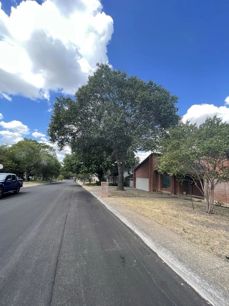 Expert yard cleanup service for homes in San Antonio, TX by Faithful Blades