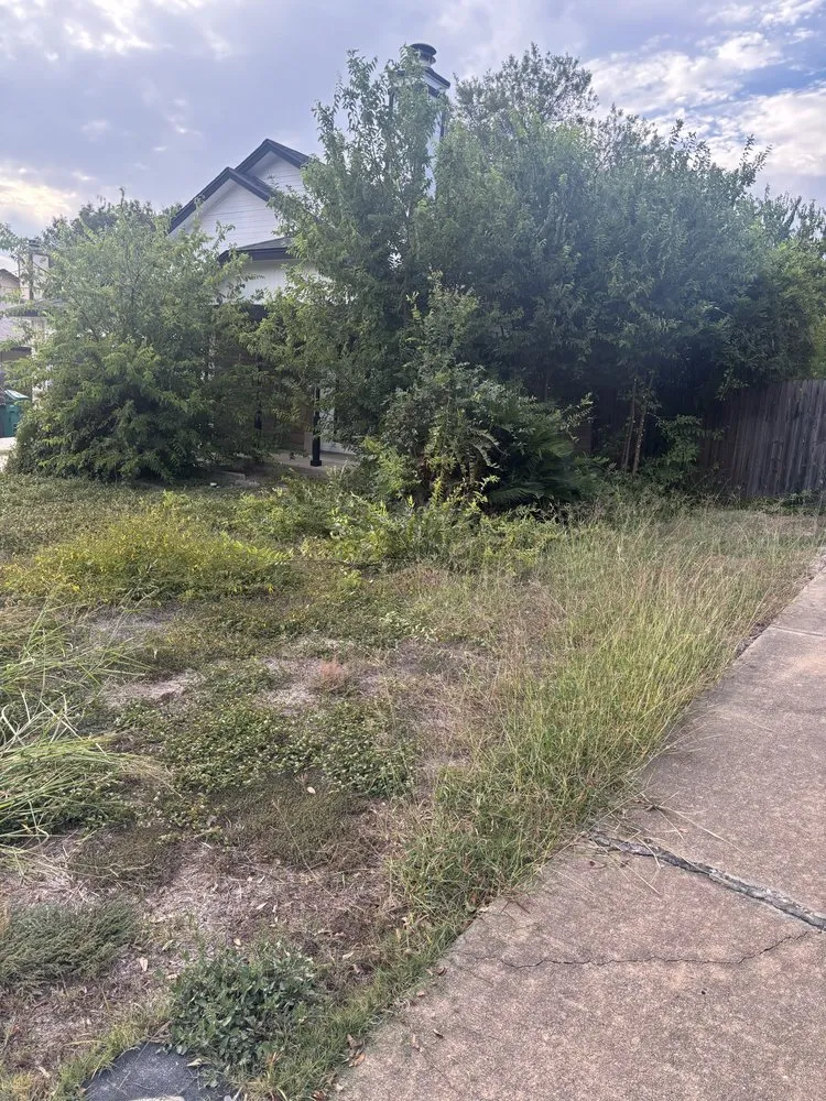 Affordable landscape installation in San Antonio, TX by Faithful Blades