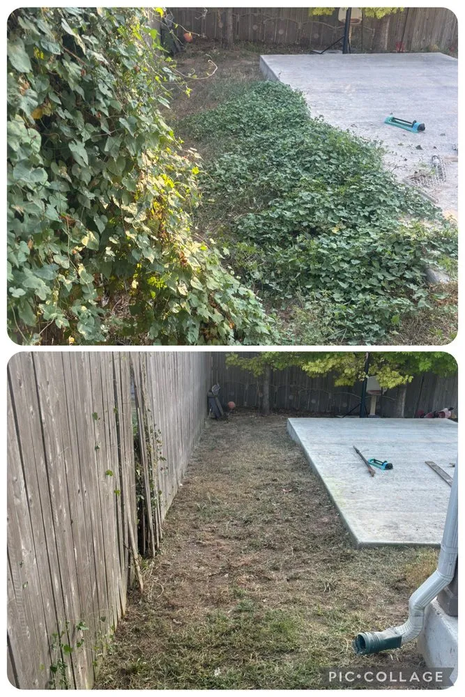 Top-rated landscape design in San Antonio, TX - Faithful Blades