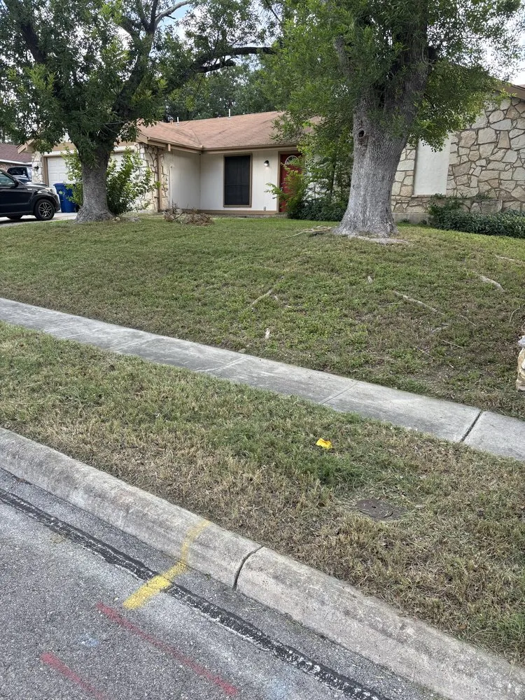 Professional residential landscaping for year-round maintenance in San Antonio, TX by Faithful Blades