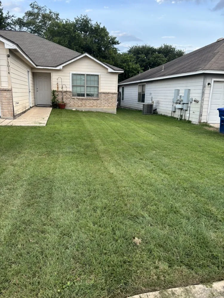 Local yard cleanup service near you in San Antonio, TX by Faithful Blades