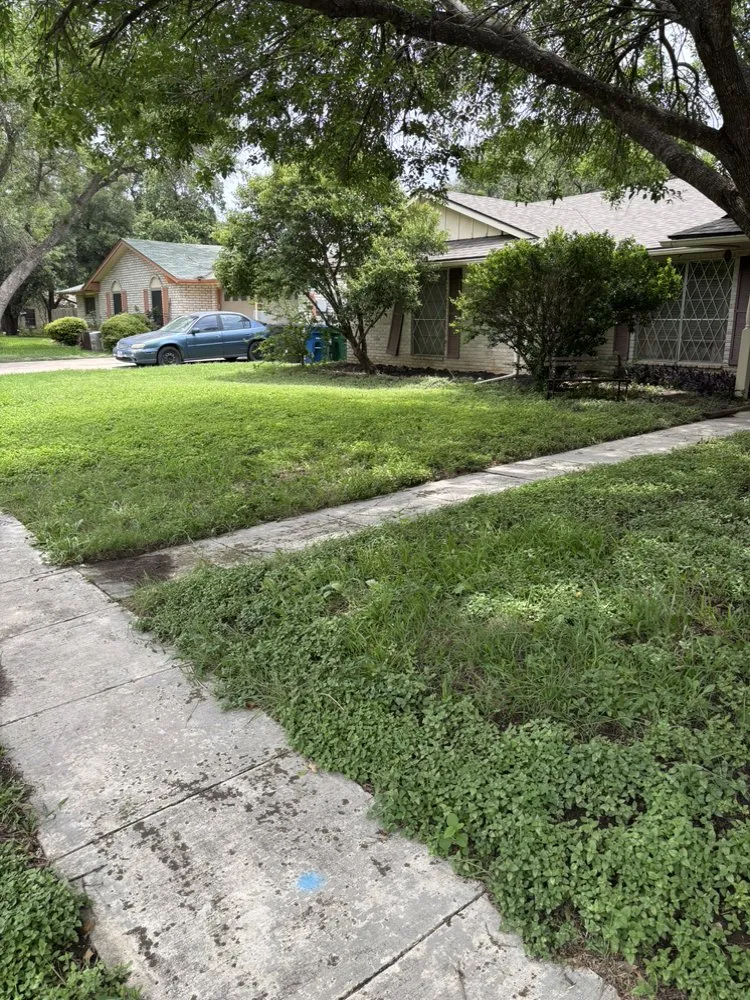 Affordable landscaping services in San Antonio, TX by Faithful Blades