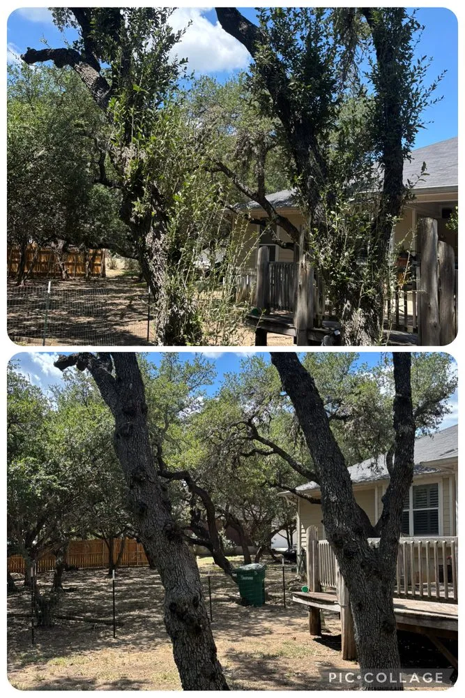 Trusted landscaping services in San Antonio, TX - Faithful Blades