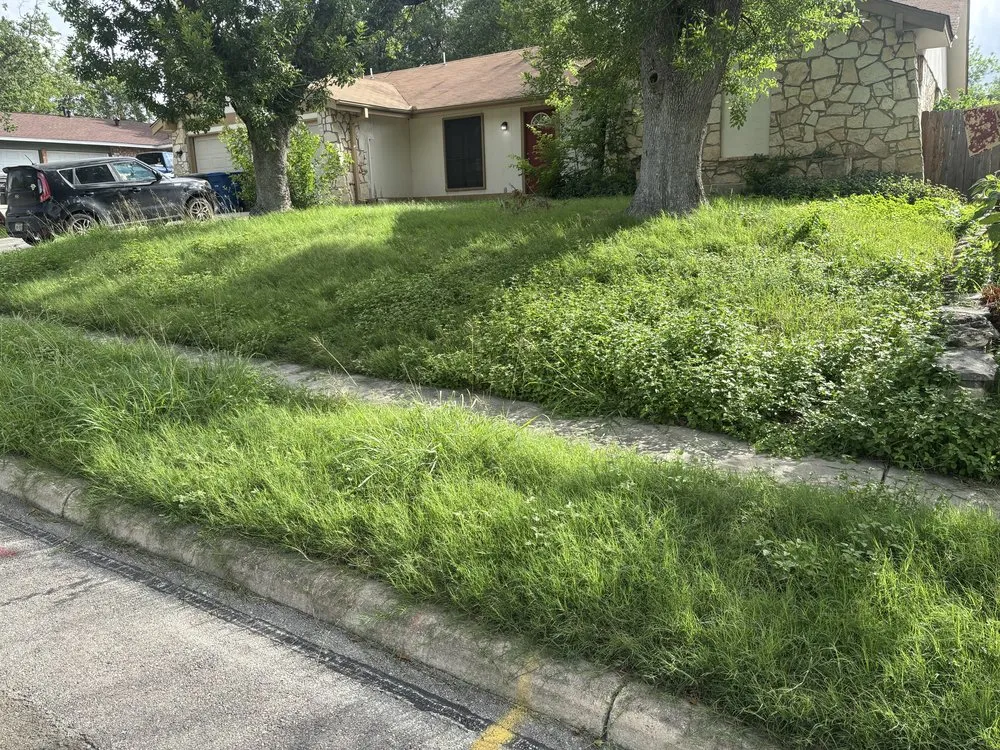 Affordable outdoor landscaping with custom design across San Antonio, TX - Faithful Blades