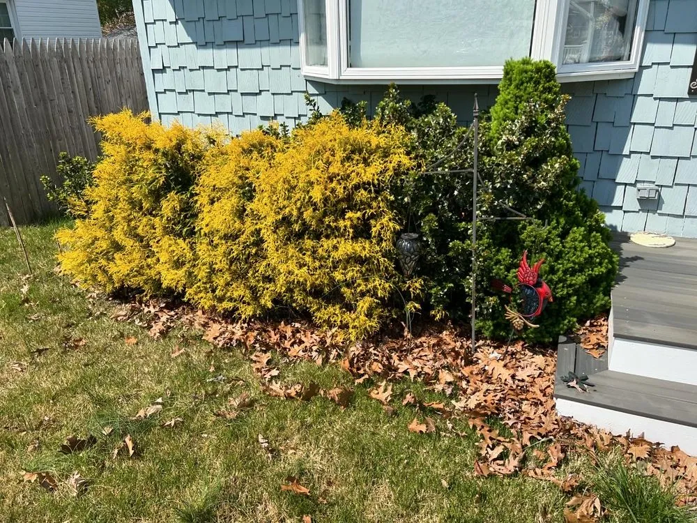 Reliable yard cleanup service near you in Toms River, NJ by Faithful Fields Landscaping