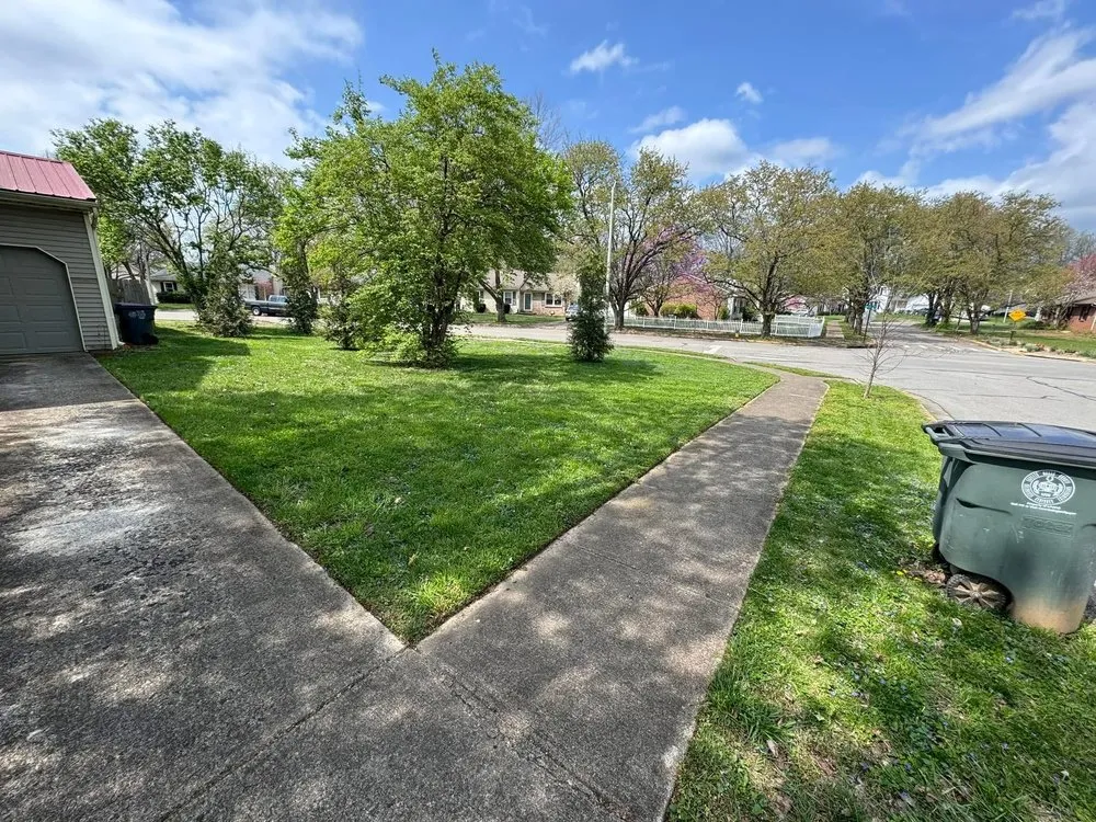 Reliable outdoor landscaping for year-round maintenance across Lexington, KY - Faithful Foliage