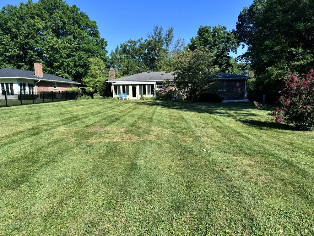 Reliable yard maintenance in Lexington, KY by Faithful Foliage