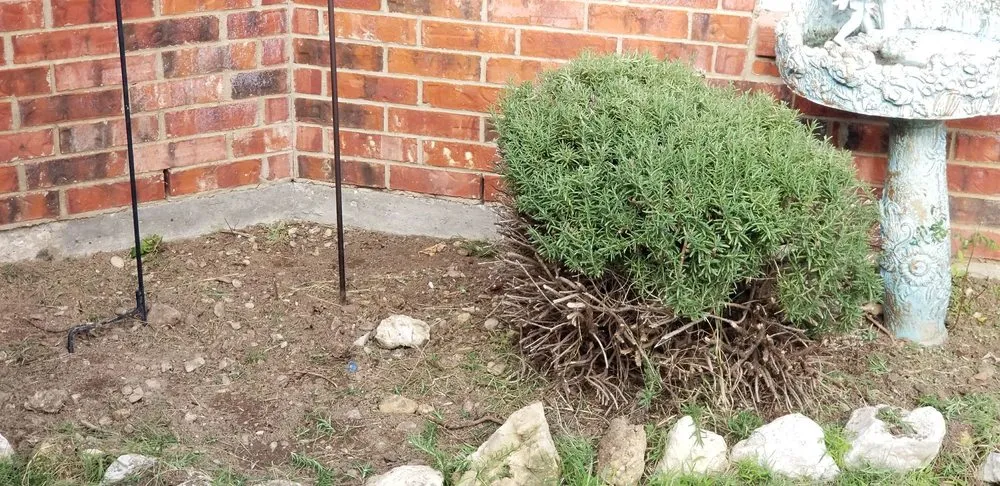 Custom landscaping services in Saginaw, TX by Faithful Lawn Care