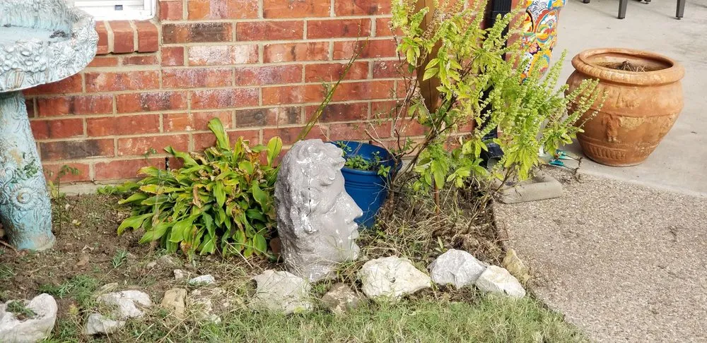 Affordable landscape installation in Saginaw, TX by Faithful Lawn Care