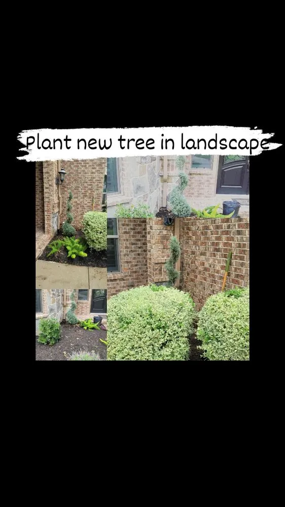 Custom landscaping services in Saginaw, TX - Faithful Lawn Care