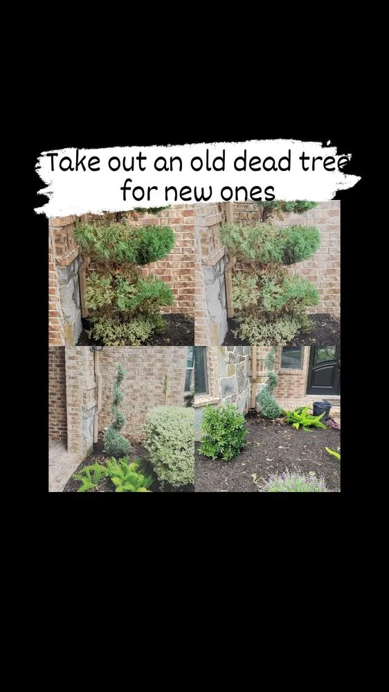 Reliable outdoor landscaping for outdoor upgrades in Saginaw, TX by Faithful Lawn Care