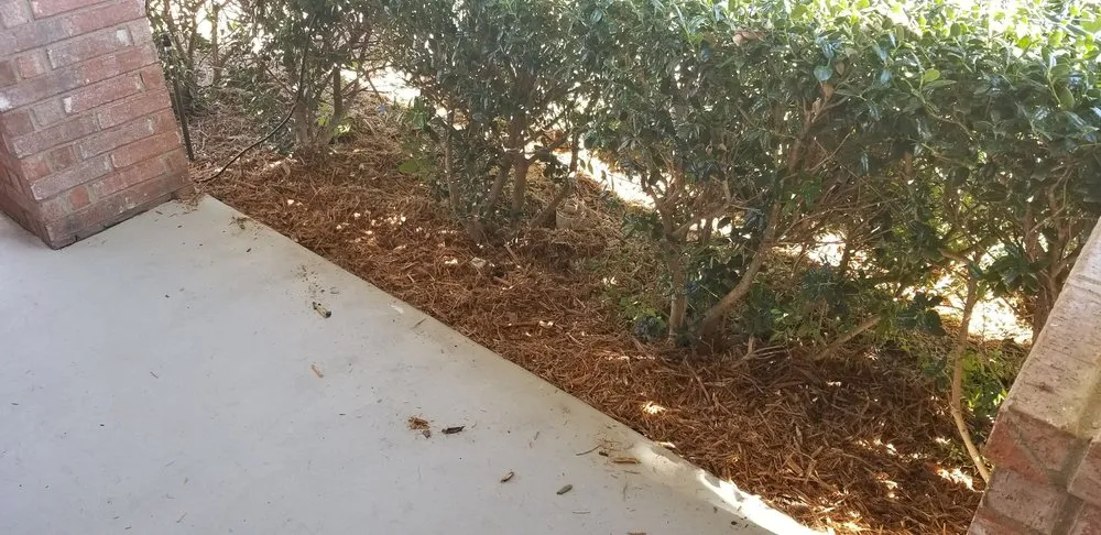 Professional garden landscaping experts serving Saginaw, TX - Faithful Lawn Care