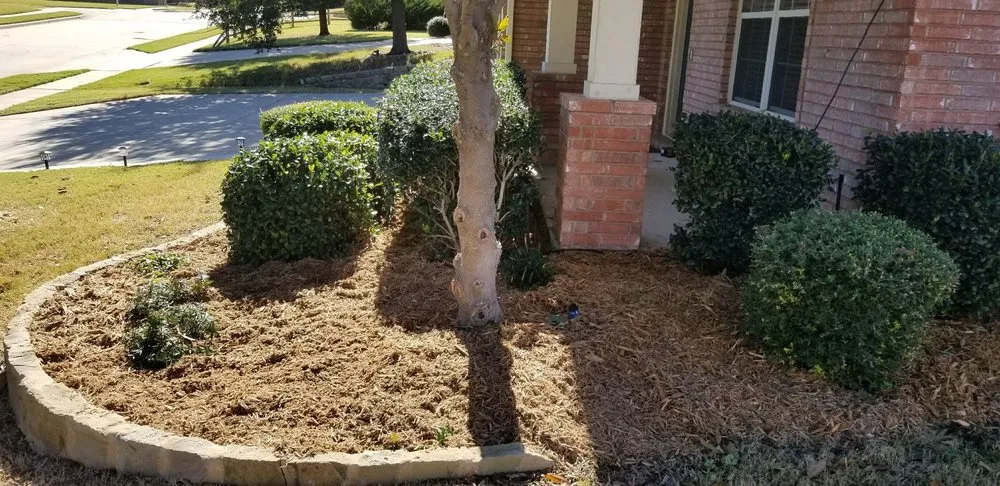 Trusted residential landscaping experts serving Saginaw, TX - Faithful Lawn Care