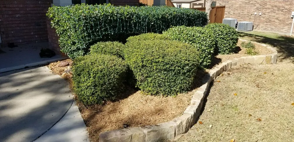 Local garden landscaping with custom design in Saginaw, TX by Faithful Lawn Care