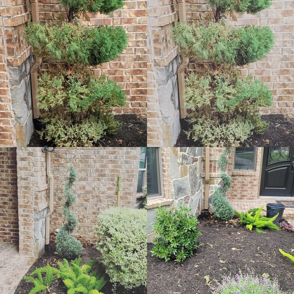 Reliable lawn care service for homes in Saginaw, TX by Faithful Lawn Care