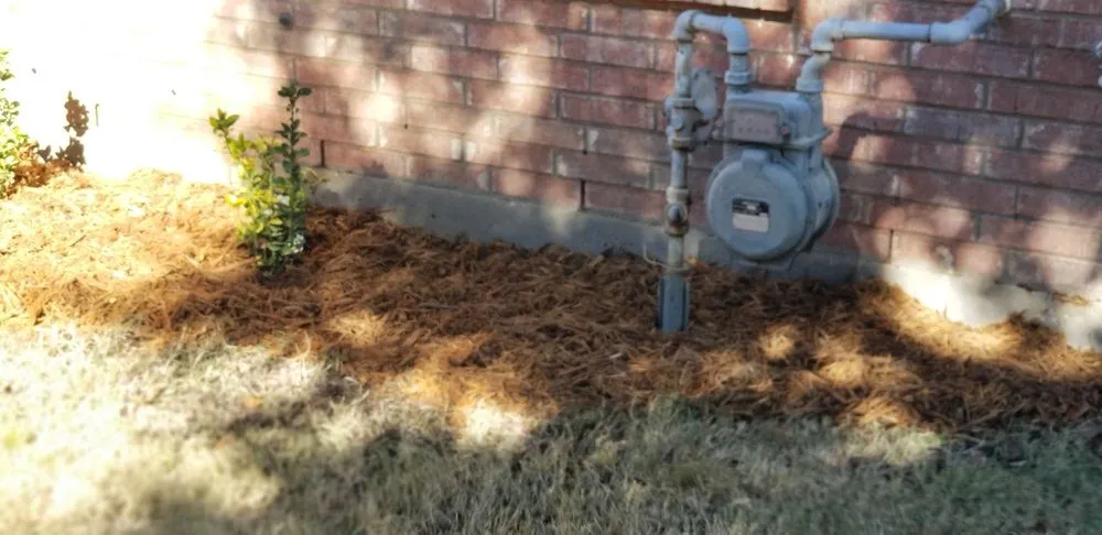 Custom yard cleanup service in Saginaw, TX - Faithful Lawn Care