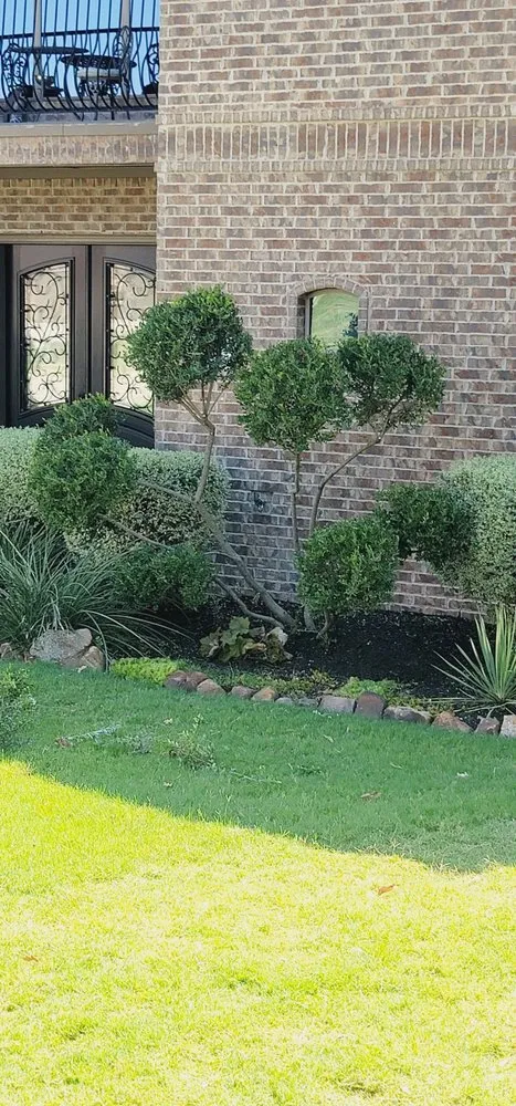 Local lawn care service in Saginaw, TX by Faithful Lawn Care