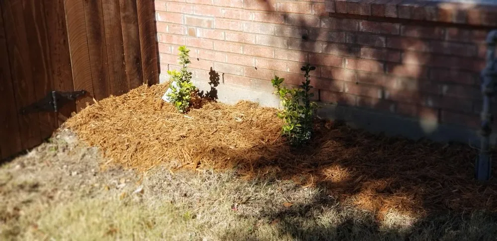 Top-rated landscape installation in Saginaw, TX - Faithful Lawn Care