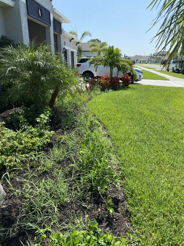 Professional yard cleanup service in Palm Bay, FL by Faithful Lawn Service
