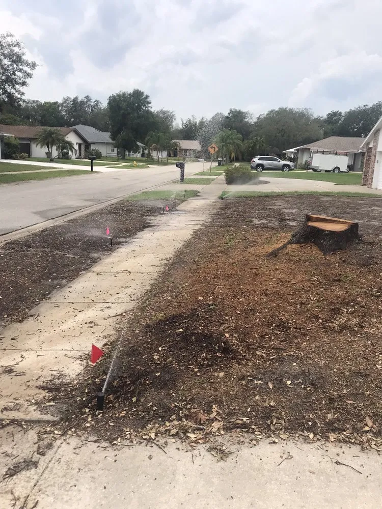 Top-rated yard cleanup service experts serving Palm Bay, FL - Faithful Lawn Service