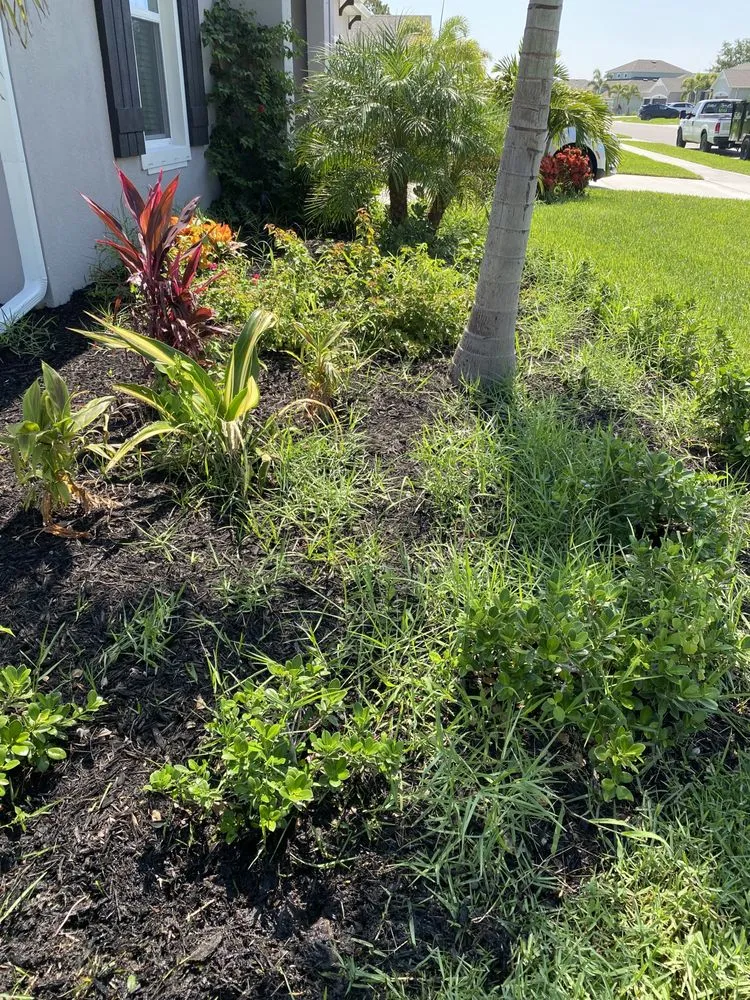 Custom garden landscaping in Palm Bay, FL by Faithful Lawn Service