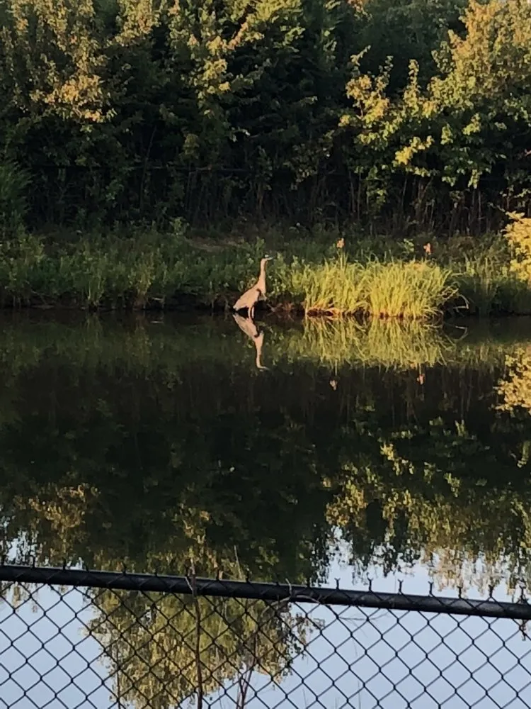 Local landscaping services for homes across Richmond, VA - Faithfully Growing Landscape Design