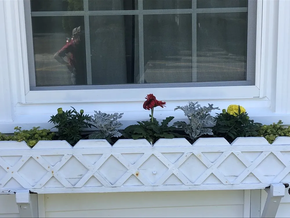 Top-rated landscaping services for outdoor upgrades across Richmond, VA - Faithfully Growing Landscape Design