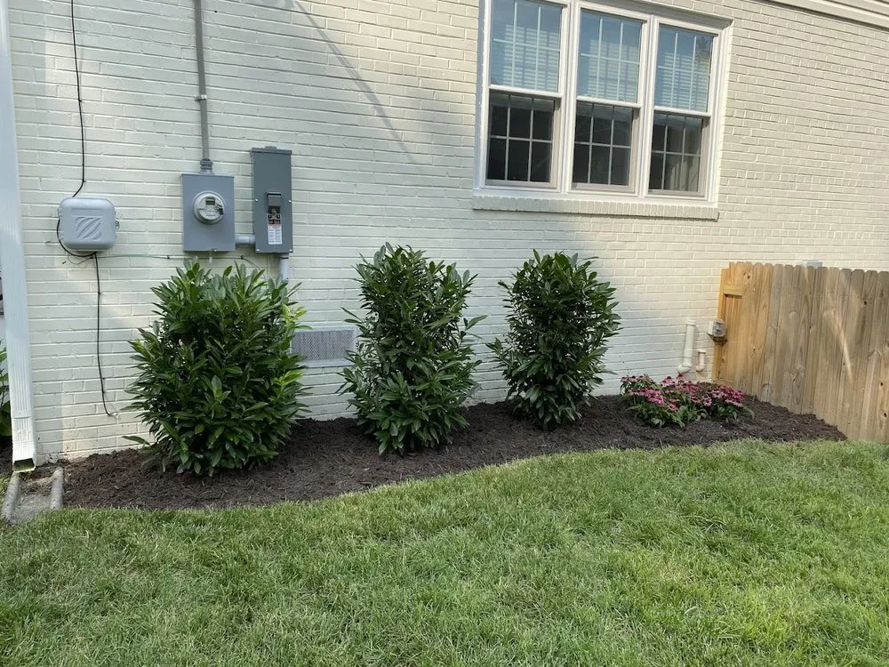 Top-rated landscape installation in Richmond, VA - Faithfully Growing Landscape Design