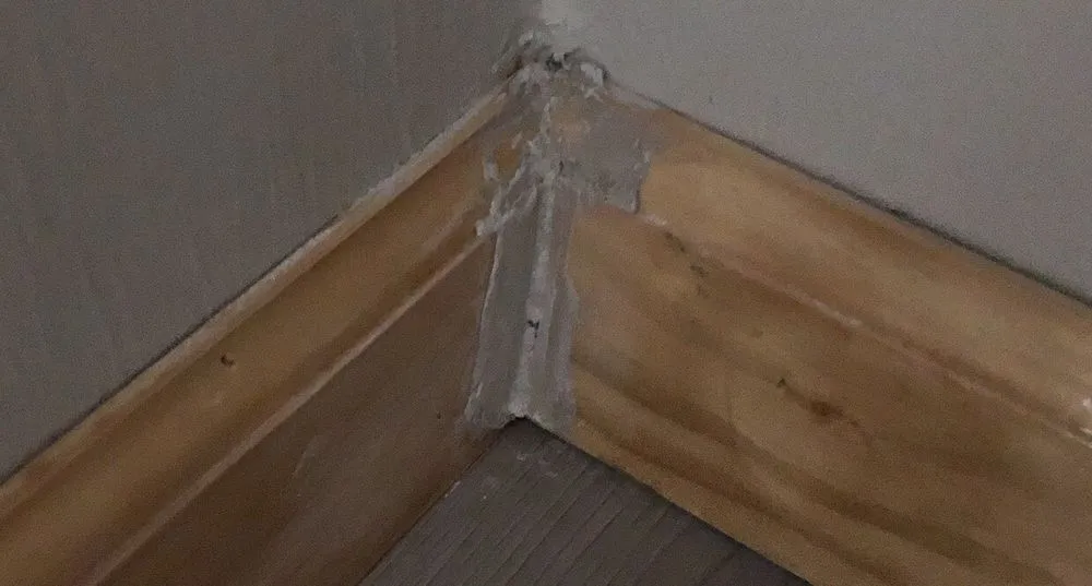 Reliable lawn mowing service for year-round maintenance across Mason, OH - Faith's General Service's