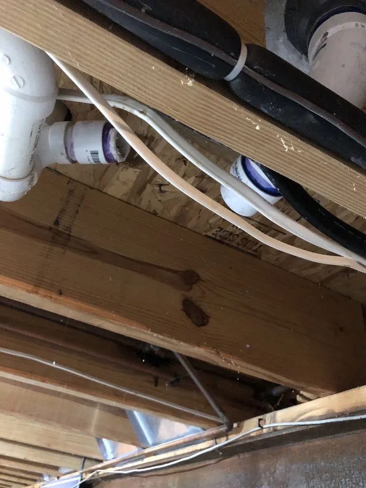 Professional lawn care service in Mason, OH by Faith's General Service's