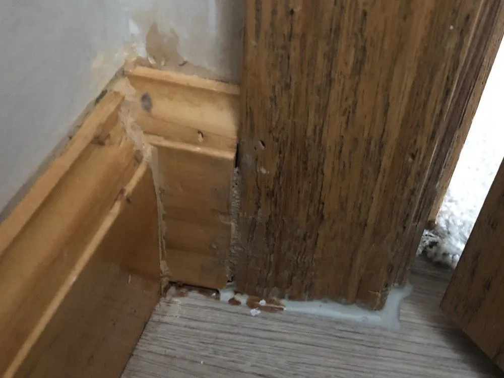 Trusted yard cleanup service near you across Mason, OH - Faith's General Service's