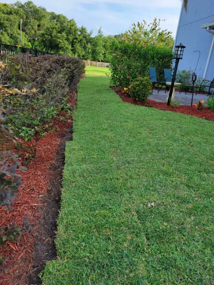 Trusted yard cleanup service experts serving Mount Dora, FL - Faithscapes