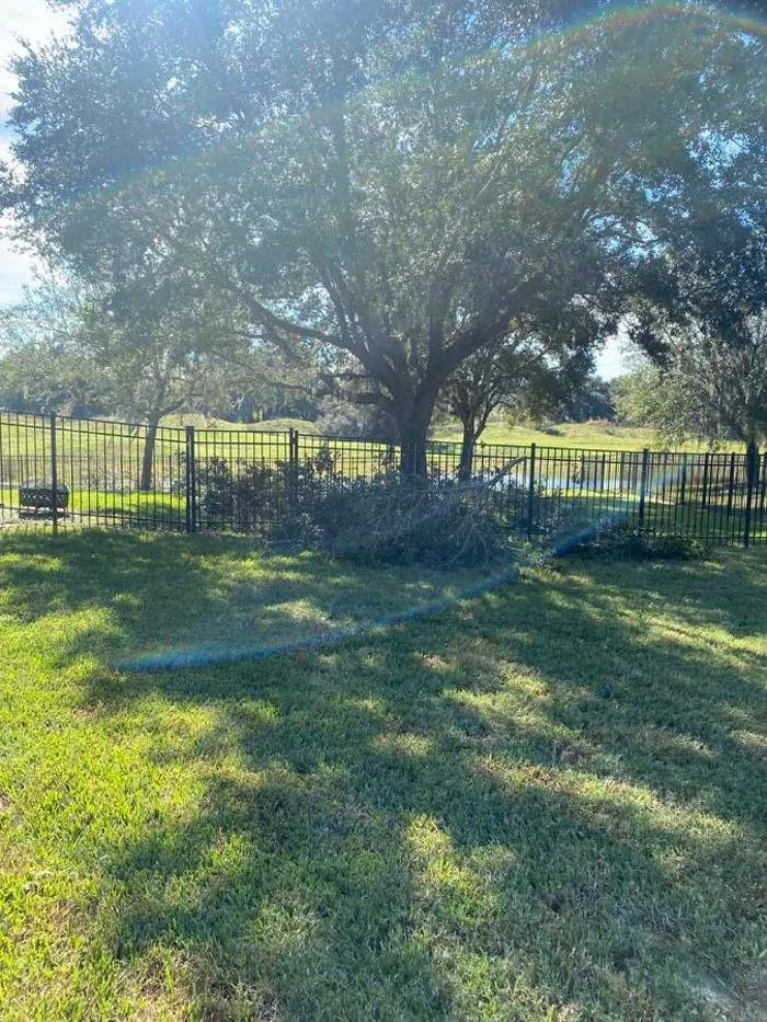 Reliable lawn care service near you in Mount Dora, FL by Faithscapes