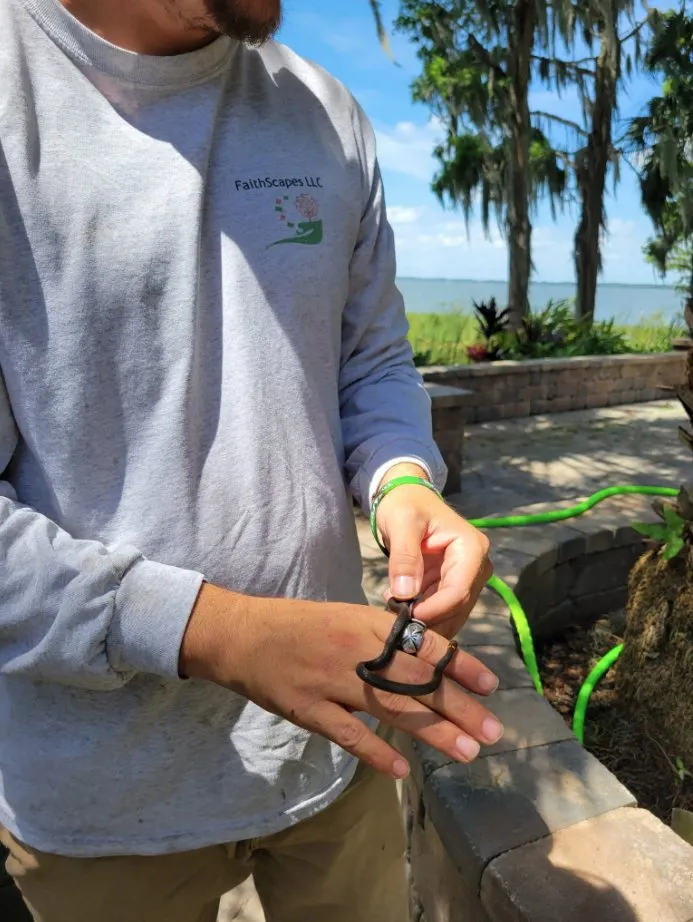 Trusted yard cleanup service with custom design across Mount Dora, FL - Faithscapes