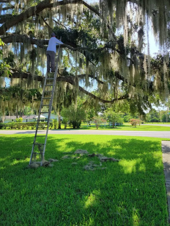 Custom residential landscaping with custom design in Mount Dora, FL by Faithscapes