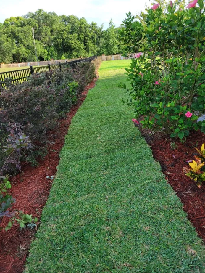 Reliable yard maintenance in Mount Dora, FL by Faithscapes