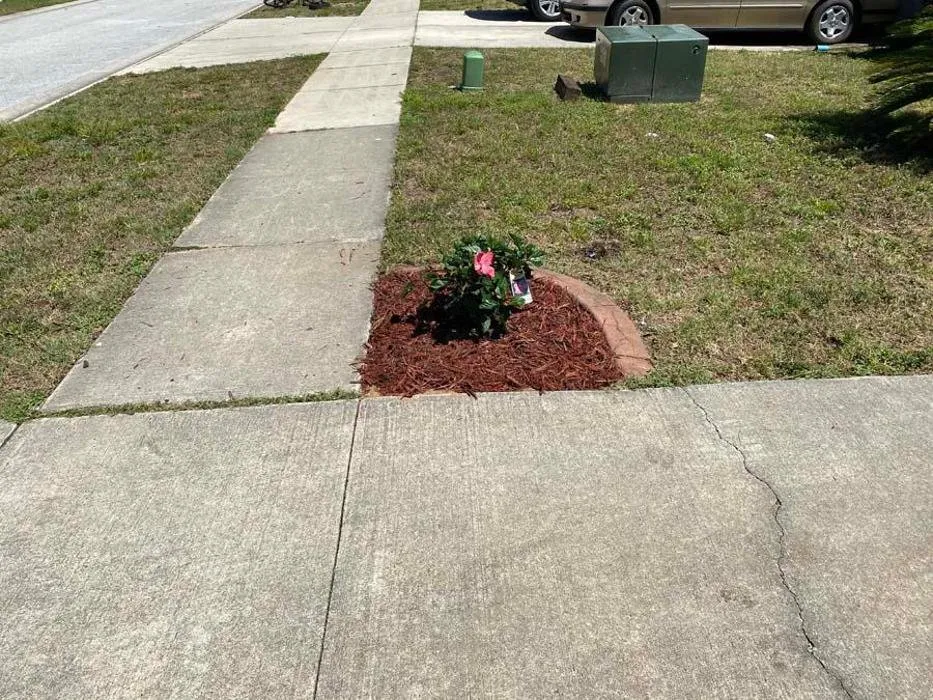 Affordable landscape design in Mount Dora, FL by Faithscapes