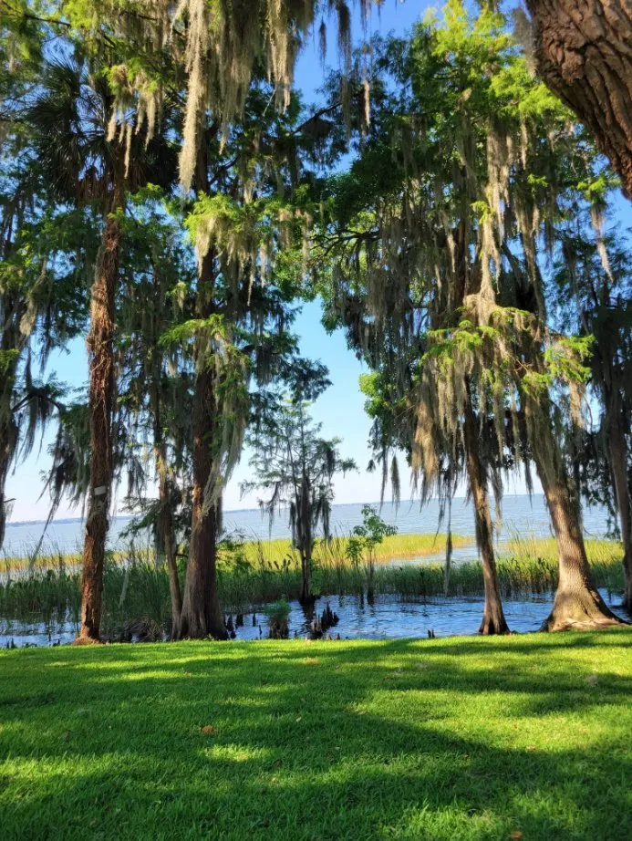 Affordable yard maintenance in Mount Dora, FL - Faithscapes