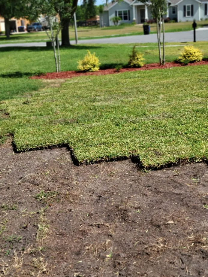 Professional yard cleanup service for year-round maintenance across Mount Dora, FL - Faithscapes