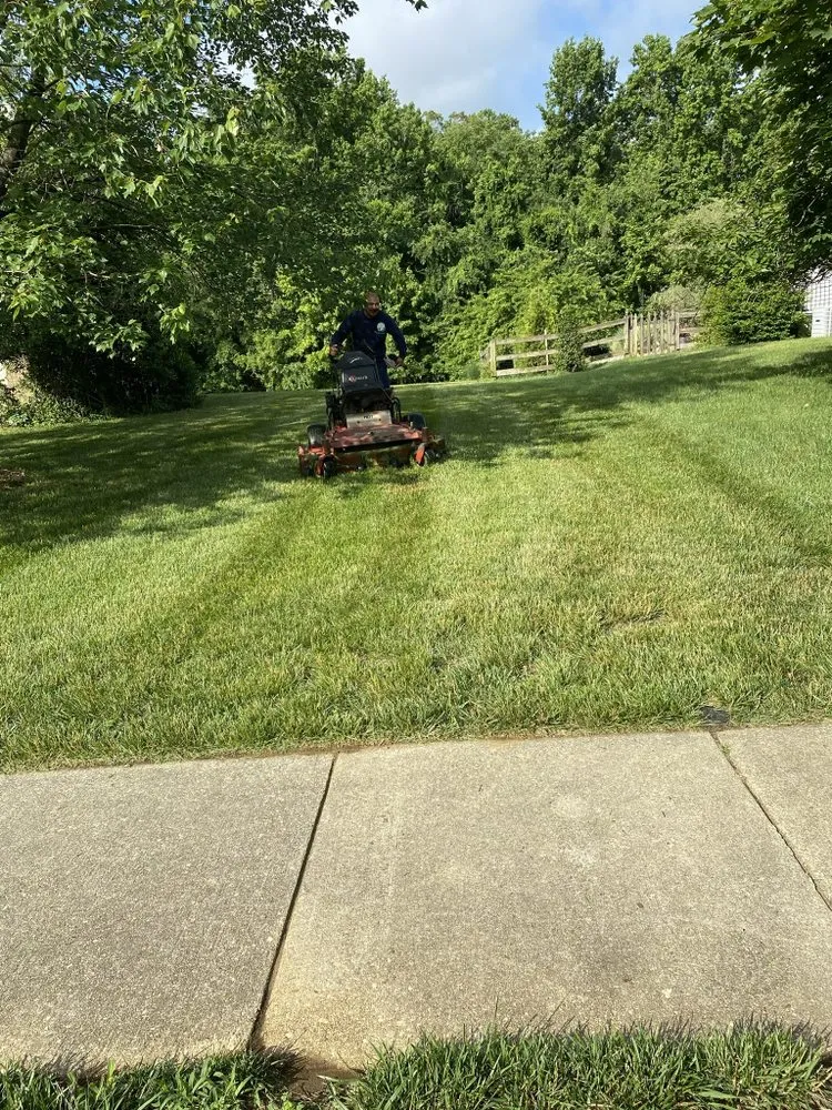 Professional yard cleanup service in Highland Beach, MD by Fajardo's Landscape