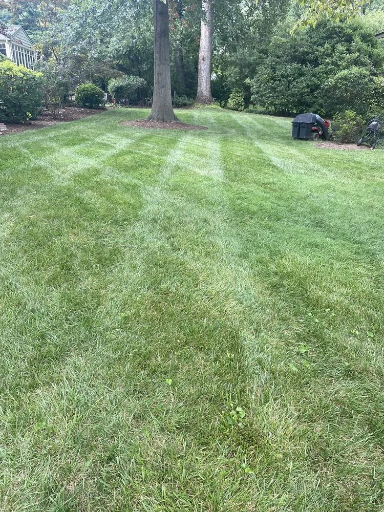 Professional yard maintenance in Highland Beach, MD - Fajardo's Landscape