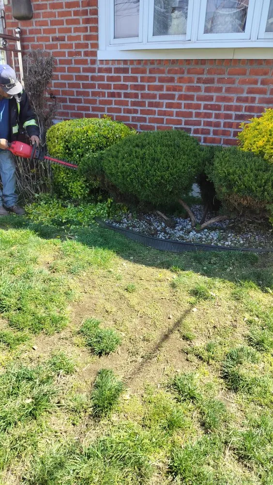 Top-rated garden landscaping in Flushing, NY by Fajugica Landscaping
