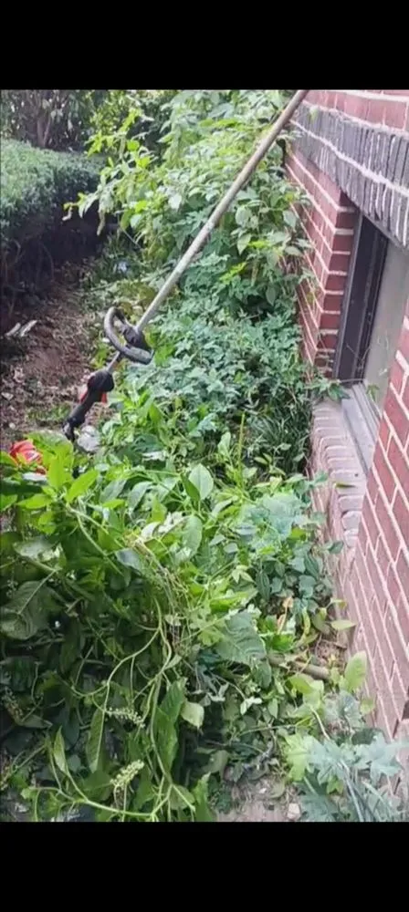 Local landscape installation in Flushing, NY by Fajugica Landscaping