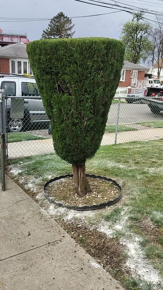 Local yard cleanup service near you in Flushing, NY by Fajugica Landscaping