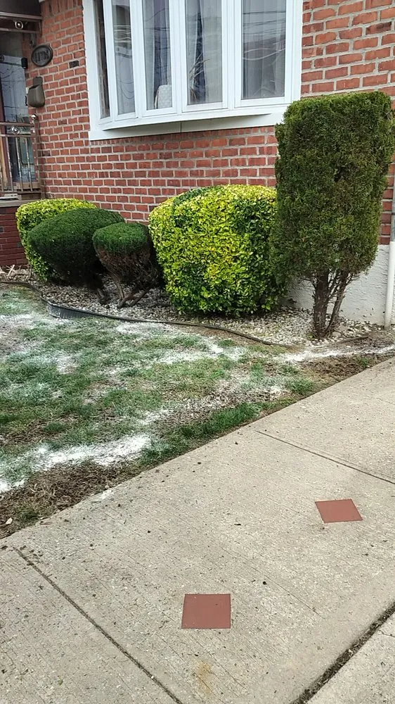 Affordable landscape design experts serving Flushing, NY - Fajugica Landscaping