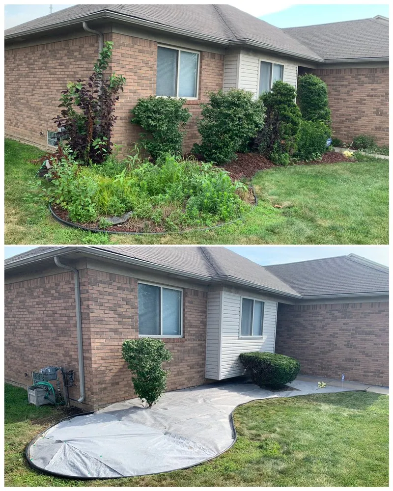 Top-rated yard maintenance in Detroit, MI - Fakhouri Services